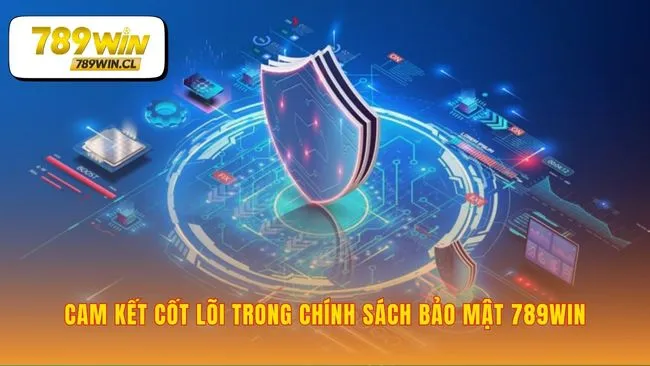 Lời hứa bảo vệ trải nghiệm giải trí của bạn